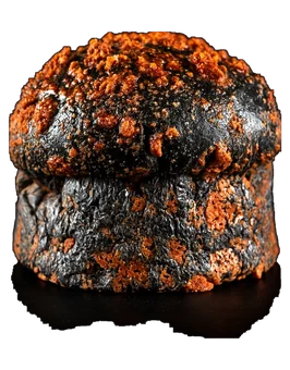 Pan brioche HIGH BLACK LOTUS de Briox Baker